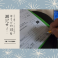 おだき邸～とんかち日記♪　キミツの刃を計測せよ！