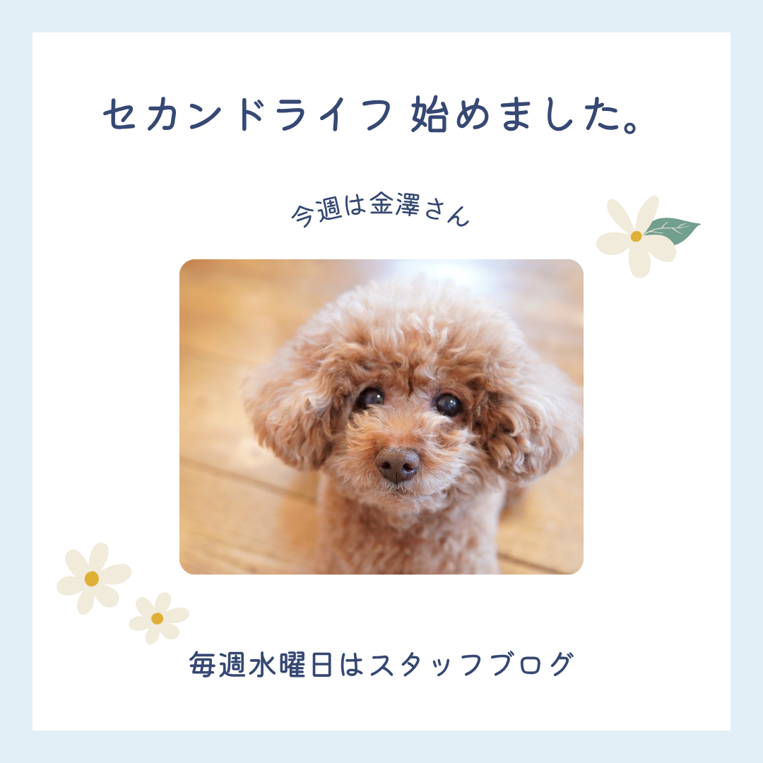 ブログサムネイル画像